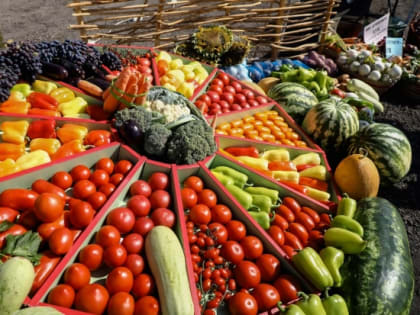 В Волгоградской области изменились цены на мясо, колбасу и овощи