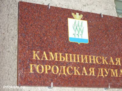 В Камышине на выборах в гордуму уменьшат количество депутатов-одномандатников