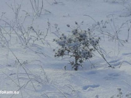 В Волгоградской области обнаружили погибшего подростка