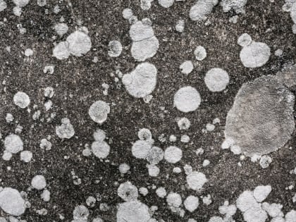 Комплексы анализа микроструктуры поверхности твердых тел