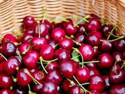 В Волгоградской области урожай плодов и ягод вырос за год на 8%