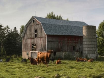 В Волгоградской области семейные фермы получили гранты на 193,8 млн рублей