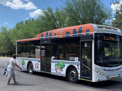 На городских дачных маршрутах добавлены вечерние рейсы