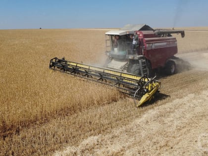 Волгоградским производителям зерна компенсируют прошлогодние расходы