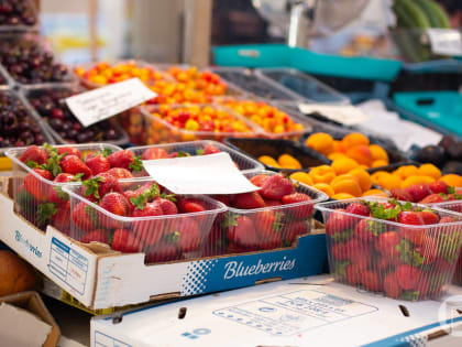 Волгоградская область заняла второе место в России по сбору ягод