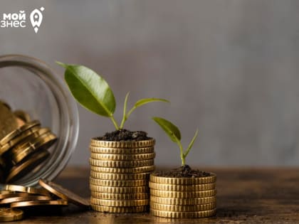 В январе 2023 года Гарантийный фонд Волгоградской области предоставил поддержку малому и среднему бизнесу на 71 млн. руб.