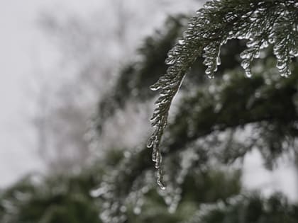 Волгоградскую весну испортит снежный дождь