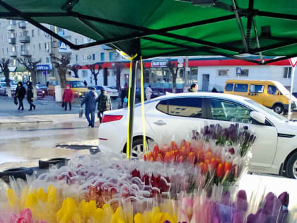 Ветер, дождь, «плюс» и пониженное атмосферное давление: погодная повестка на воскресенье 5 марта в Камышине