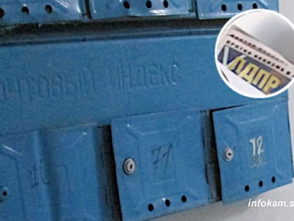 В Камышине партия ЛДПР первой «наполнила» почтовые ящики газетами в год выборов в гордуму