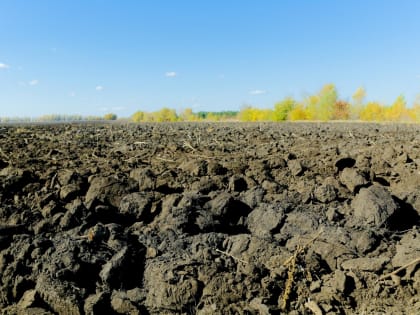 Волгоградские аграрии засеяли половину яровой пашни