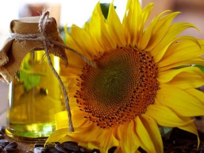 Волгоградская область попала в 5-ку регионов по экспорту подсолнечного масла