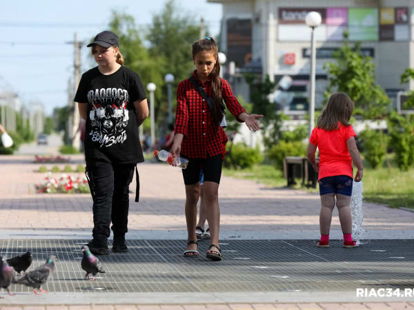 Летом в Волгоградской области работало 648 организаций отдыха детей