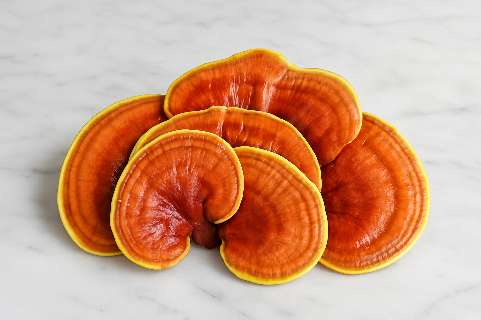 Imagem de destaque para Descubra o Poder do Ácido Ganodérico: O Segredo do Cogumelo Reishi