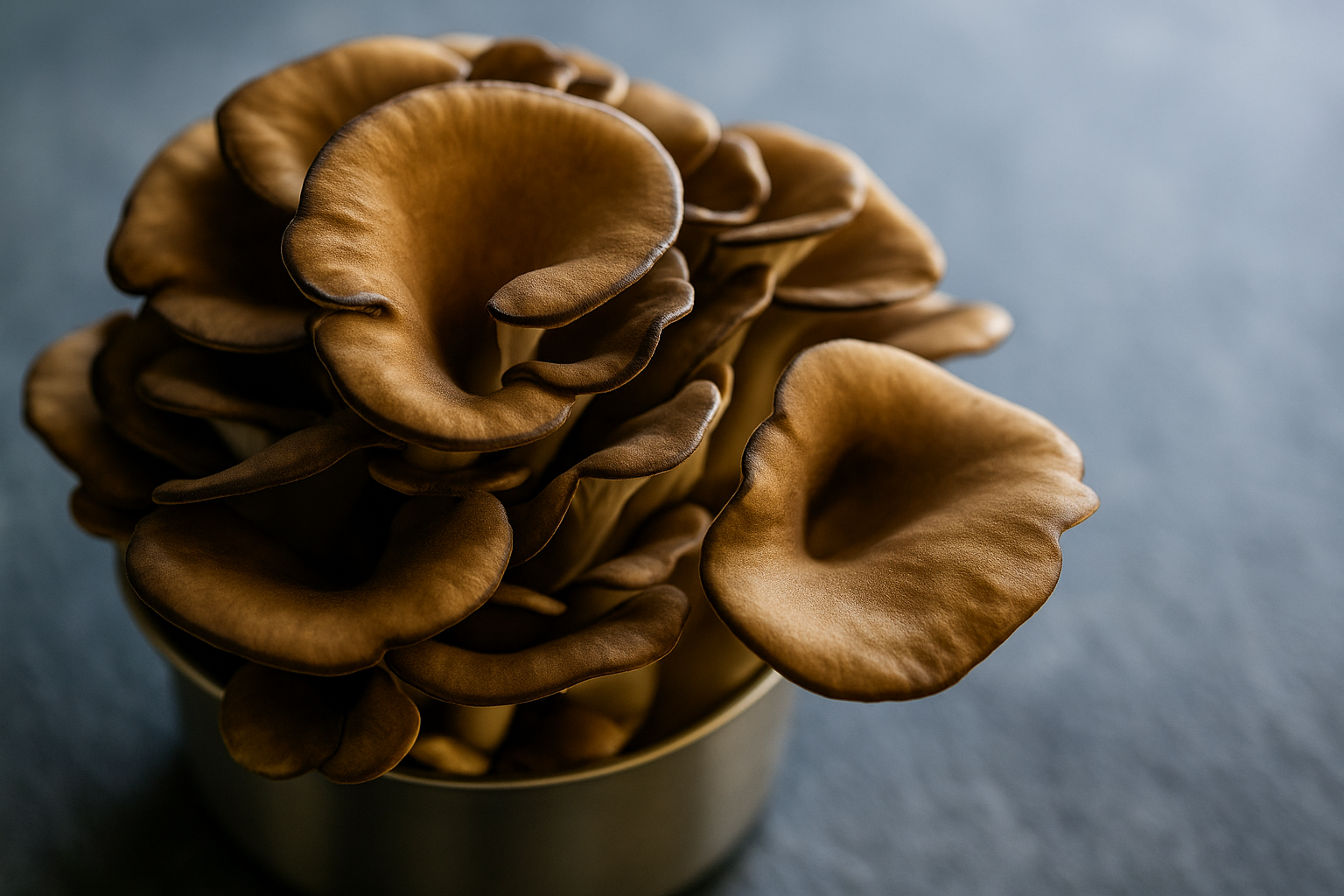 Imagem de destaque para Beta-glucanas do Maitake: Uma Defesa Natural Contra Doenças Crônicas