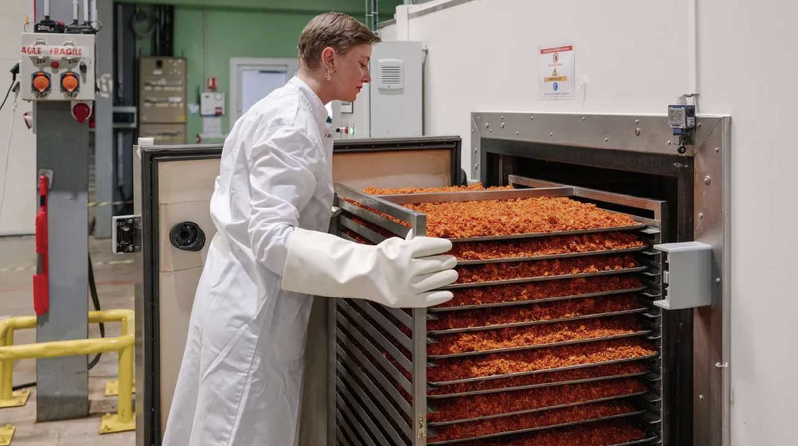 Imagem de destaque para Ferment'Up: Transformando Resíduos Alimentares em Ingredientes Sustentáveis