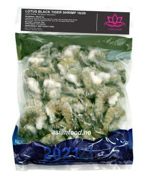 BLACK TIGER HLSO shrimp 16/20 - 10x1kg