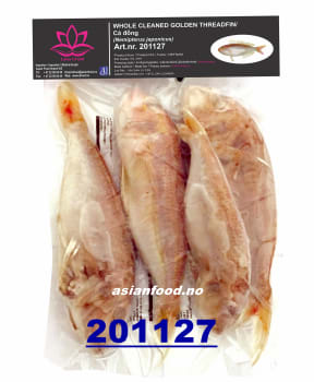 Golden threadfin bream whole clean (5pcs/bag) 10x1kg