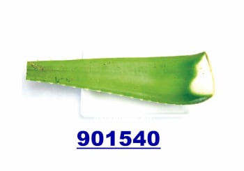 Aloevera kg
