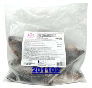 Tilapia gutted & descaled IQF glz 20% (600/800g) - 2x4kg