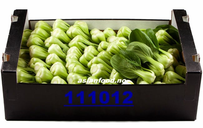 Mini shanghai Pak choi 8kg
