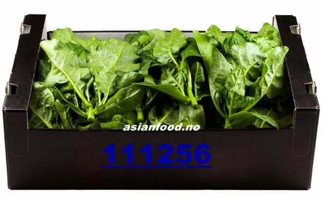San choi 5kg