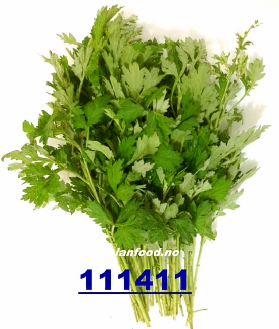 Coriander 20 pcs