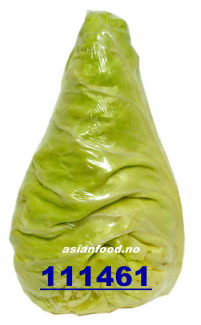 Pointed cabbage 10kg