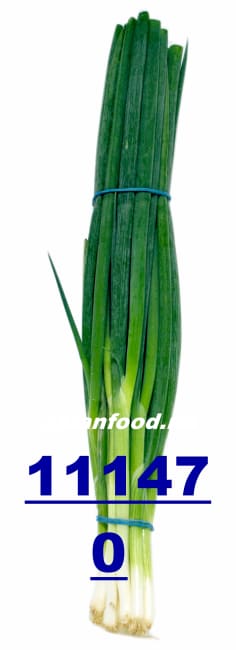 Spring Onion  14pcs