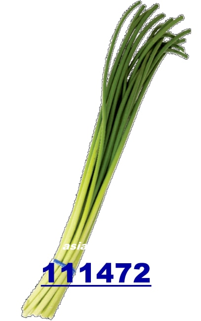 Garlic sprout 50x200gr