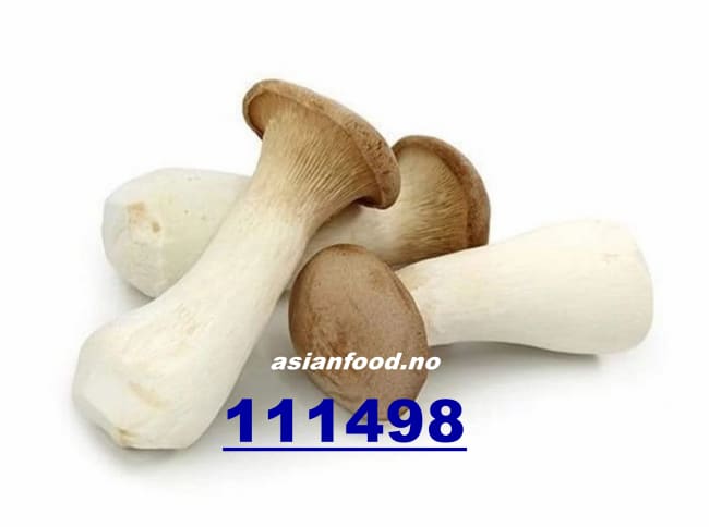 Eryngii Korea M/L 2x2kg