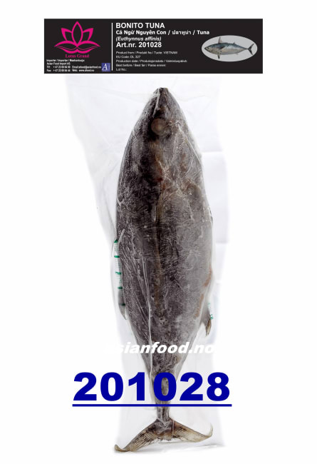 LOTUS Striped Bonito Cleaned (Tunfisk) 10x1kg