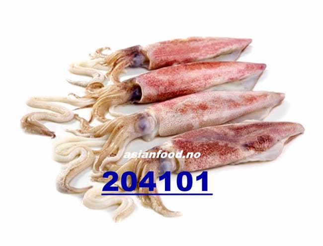 Akkar Loligo 20/25cm U3 whole 12kg