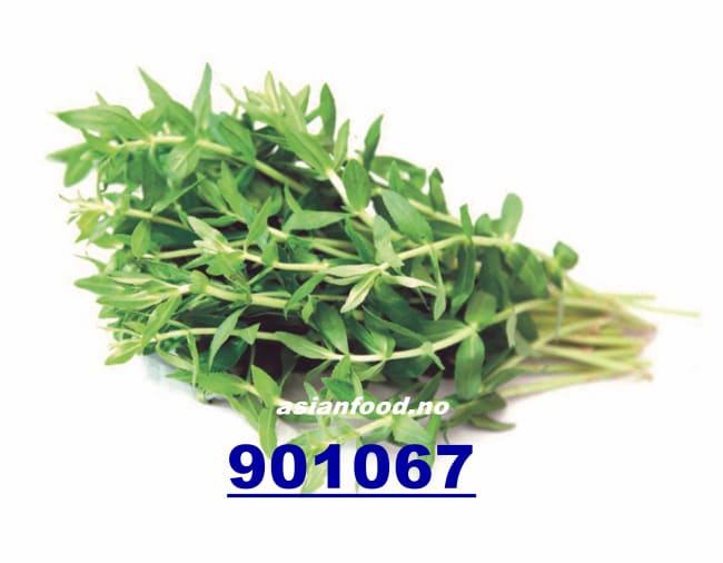 Kayang leaf 80g