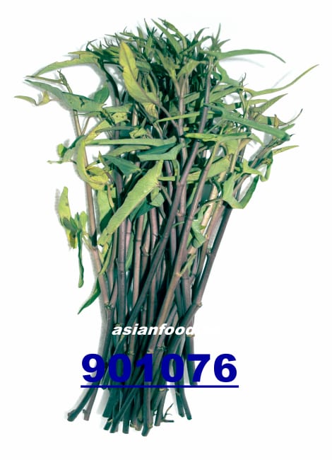 Morning glory red 200g