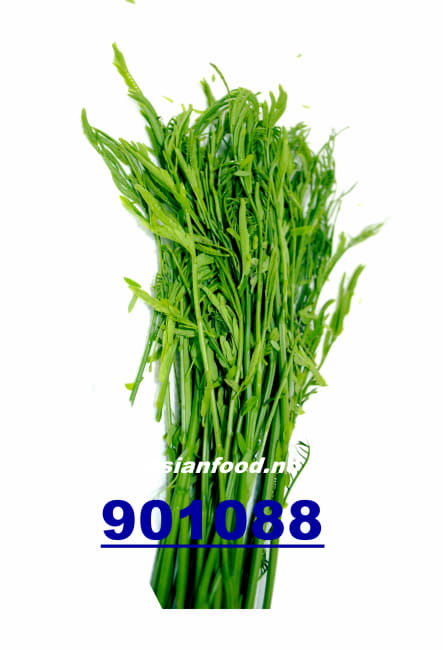 Pakatin leaf 200g