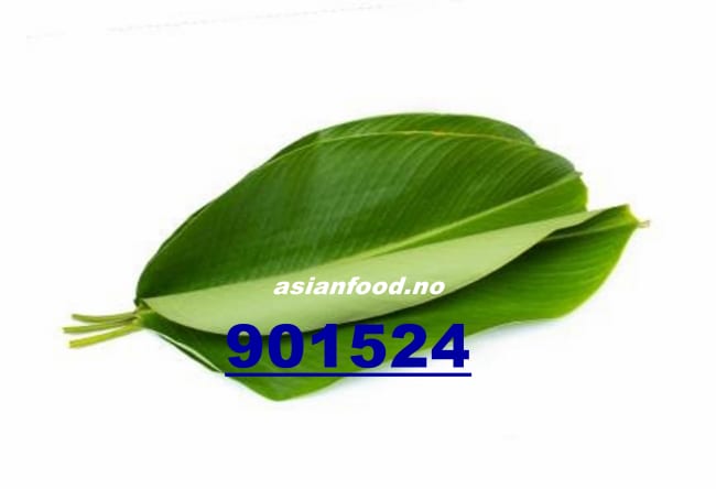 Phrynium 500g