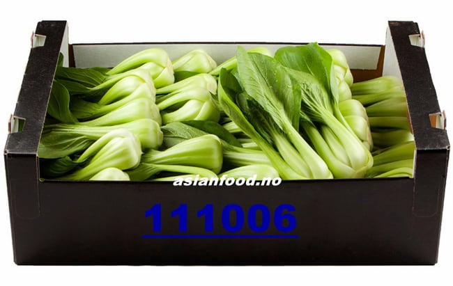 Shanghai Pak Choi 8kg