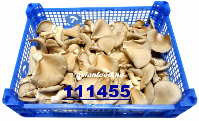 Oyster mushroom 1.5kg