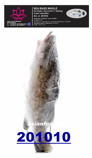 LOTUS Sea bass whole cleaned (800g+/bag) 10kg