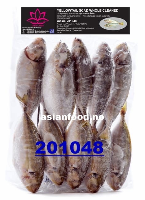 LOTUS Yellowtail scad whole cleaned (8-10 pcs) - 10x1kg