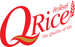 Q-RICE