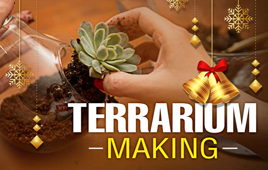 Terrarium Making