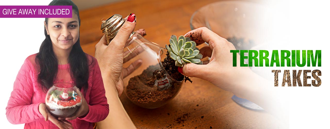 Let your employees create beautiful fairy garden terrariums with pretty figurines and miniature décor elements