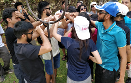 Group Dynamix - Gallery 1