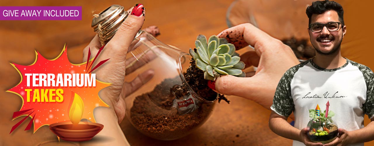 Delightful Diwali experience for employees to create beautiful terrariums with theme-based material and figurines