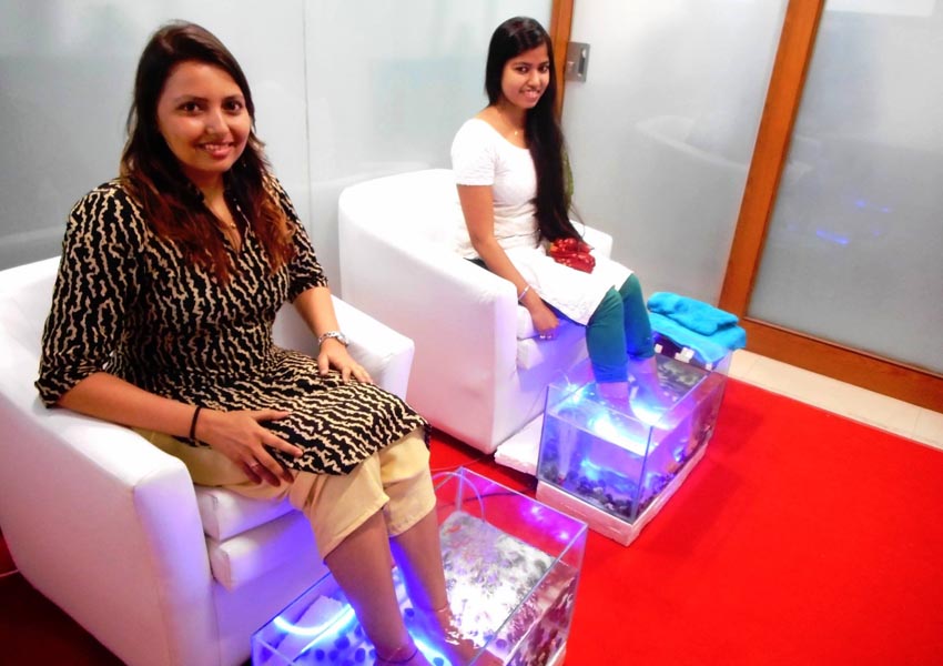 Fish Spa-gallery 2