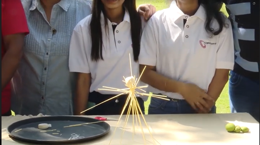 Marshmallow Team Building Activity 7