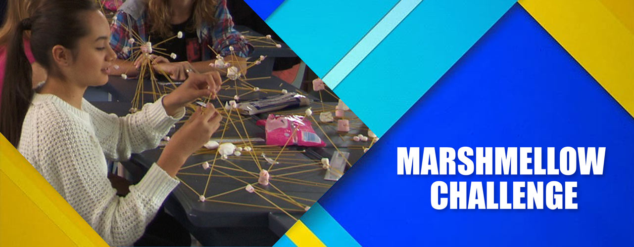 book-marshmellow-Challenge-team-building-engagement-activities