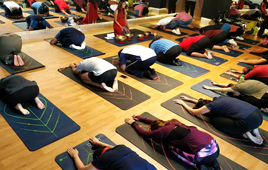Corporate Wellness - Gallery6