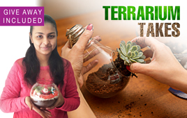 Terrarium Making Workshop